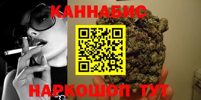 индика Обнинск